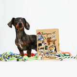 Bonjour Les Chiens (Caramel - Strapped)