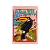 Brazilian Toucan