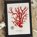 Le Corail Rouge