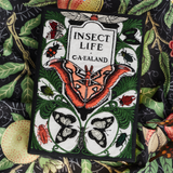 Insect Life