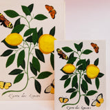 Lemons and Butterflies (Giant)