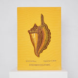Solitary Conch (Giant)