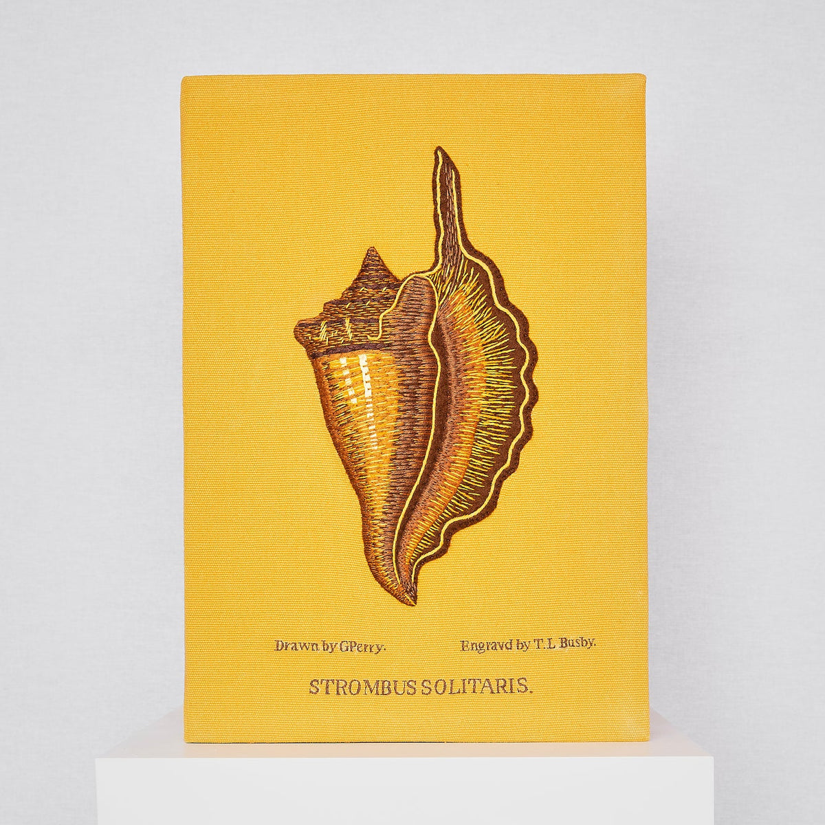 Solitary Conch (Giant)