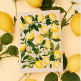 Lemon Tree