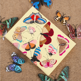 Butterflies