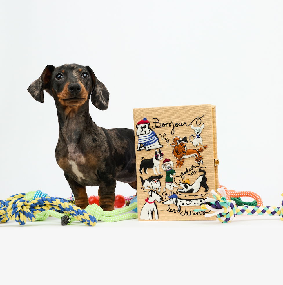 Bonjour Les Chiens (Caramel)