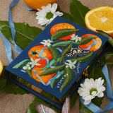 Sweet Scent of Orange Blossom (Strapped)