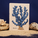 Blue Coral