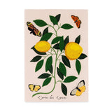 Lemons and Butterflies (Giant)