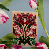 Tulip