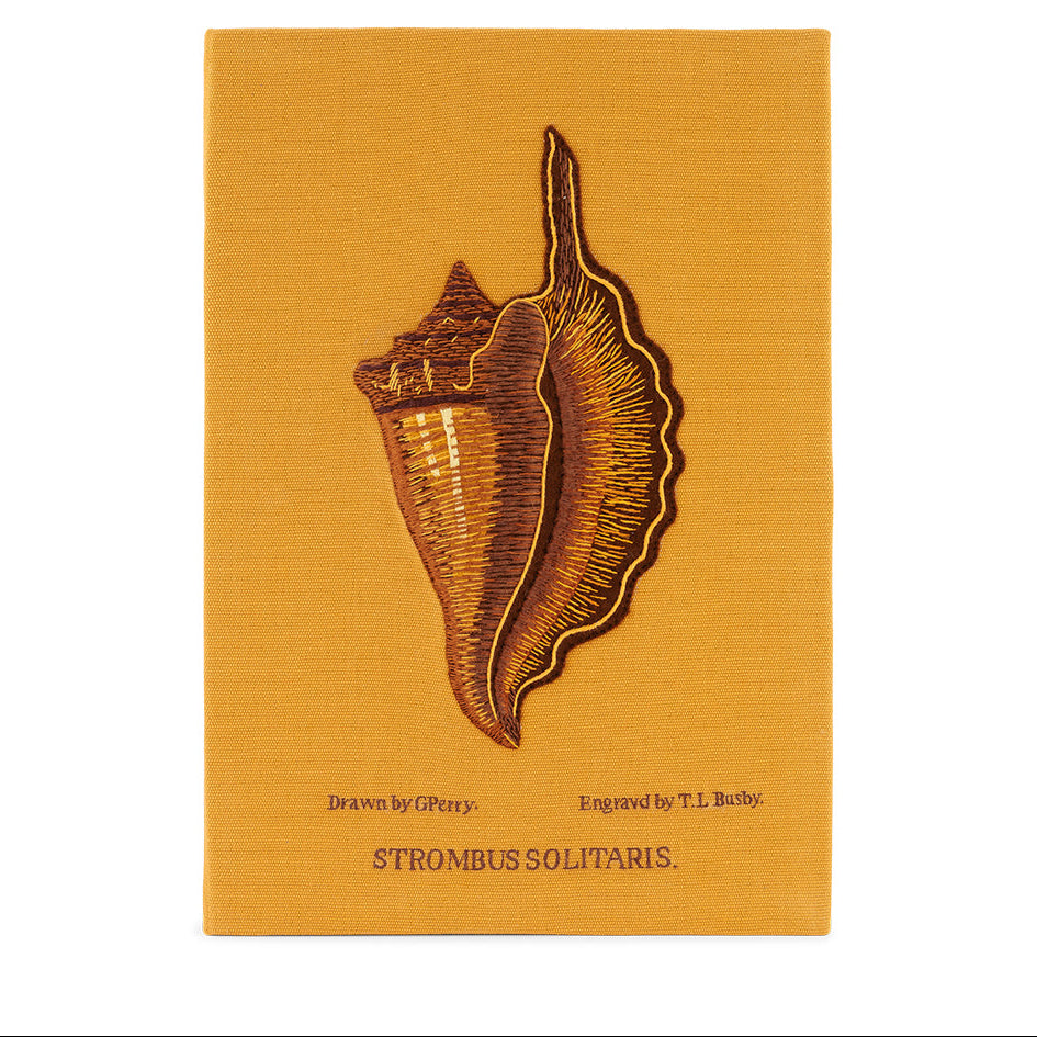 Solitary Conch (Giant)