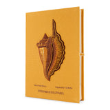 Solitary Conch (Giant)