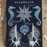 Sea Shells Collection (Strapped)