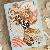 Sea Shells (Strapped)
